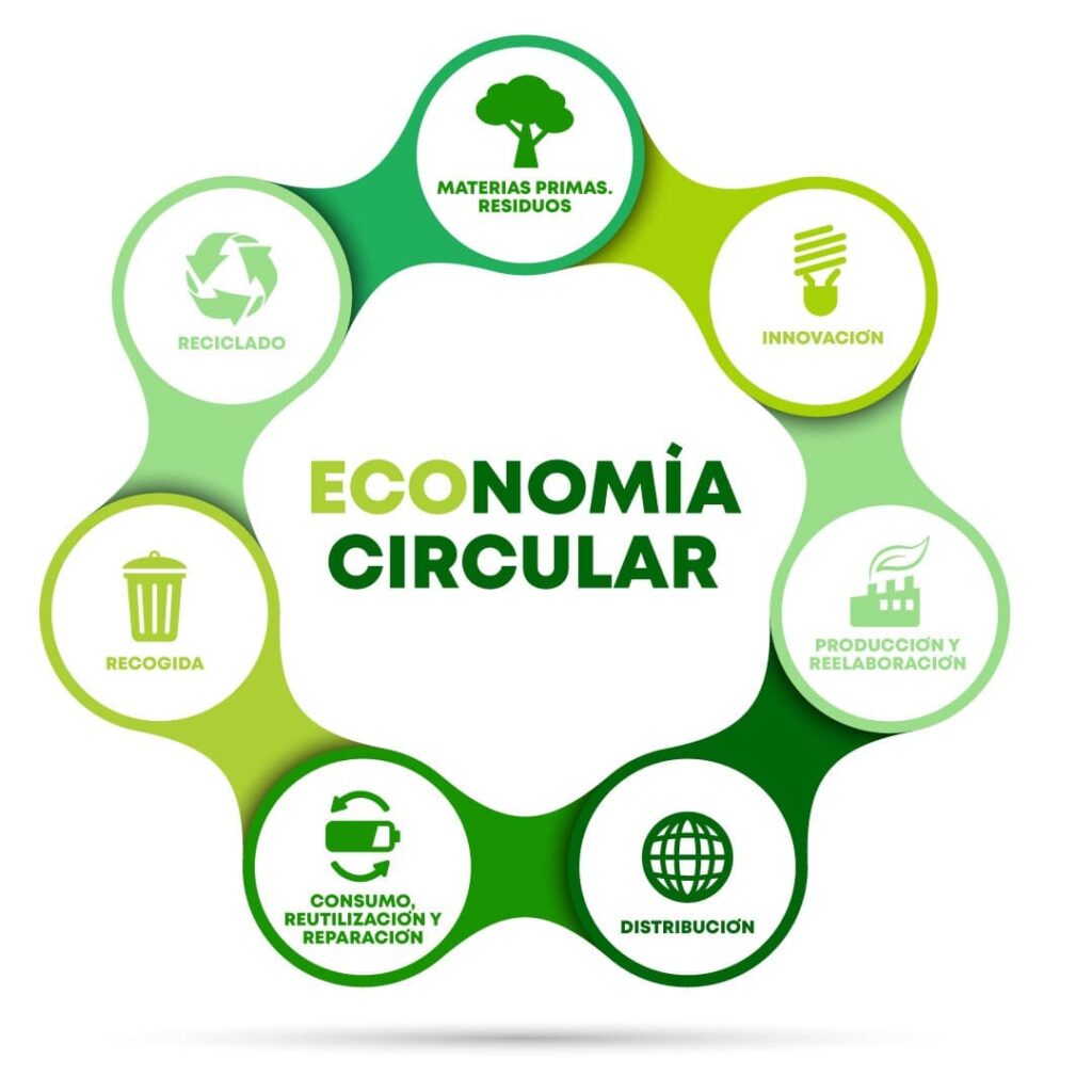 Implementar un modelo circular no solo es beneficioso para el medioambiente, sino también para las empresas. A continuación, exploramos algunas de sus ventajas clave: